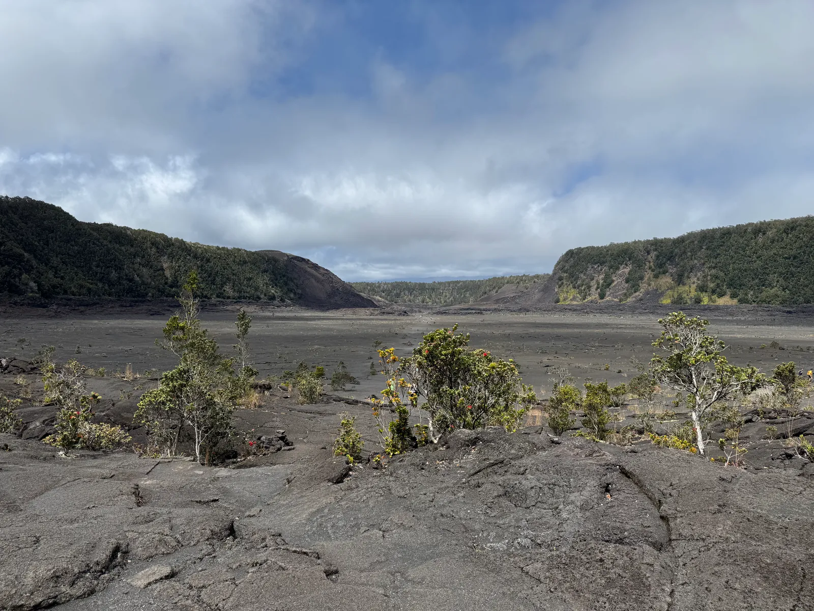 Crater trail at Hawaiʻi Volcanoes National Park